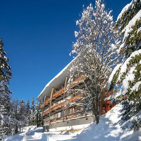 Mountain In Chamrousse